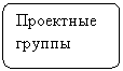 Блок-схема: альтернативный процесс: Проектные группы