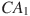��������: CA_1