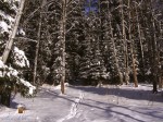 Подмосковный