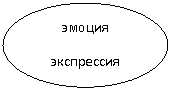 Овал: эмоция
экспрессия
оценка