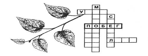 ��������: http://*****/boomerang/Drevesnue/images/game/krossword/krossword%20(8).jpg