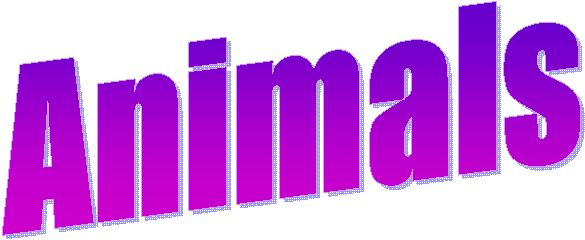 Animals