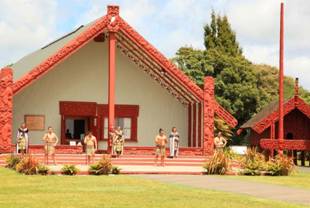 G:\Pictures\New Zealand Mark II\Itinerery Images\Rotorua\Tepuia\Tepuia 8.2-5.5.jpg