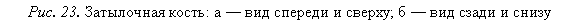 �������: