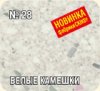 gnew2800