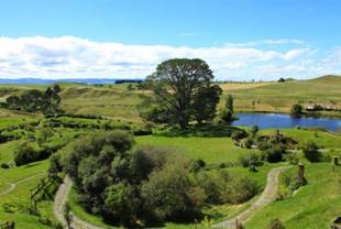 G:\Pictures\New Zealand Mark II\Itinerery Images\Matamata\Hobbiton\Hobbiton 6 8.2-5.5.jpg