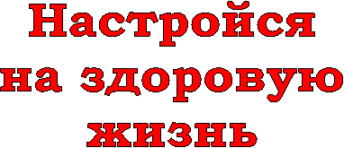 Настройся
на здоровую
жизнь