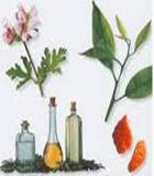 aromatherapy"