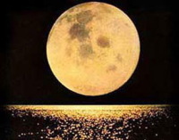 ���������� � ��� ������� ���� ��������� �������� ������� � ��� ����������. ����: Shutterstock 