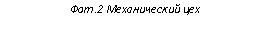 �������: