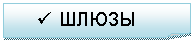 �������� ����: ü �����