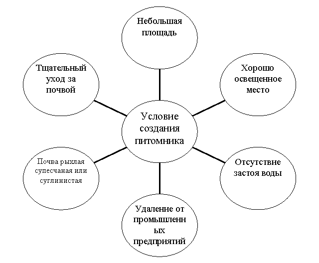 Радиальная диаграмма