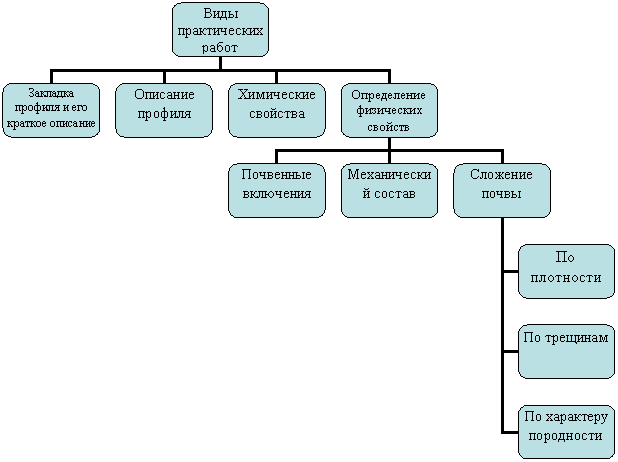 Организационная диаграмма