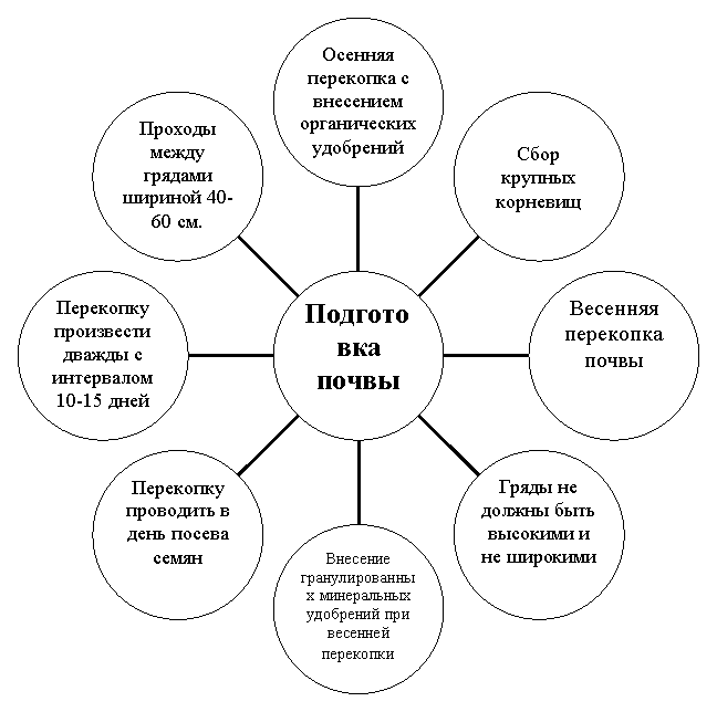 Радиальная диаграмма