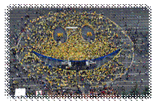 341606.jpg