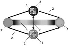 M:\статья в нейрокомпьютеры\рис1.tif