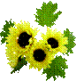 http://*****/images/attach/c/2/74/744/_large__large_51.png