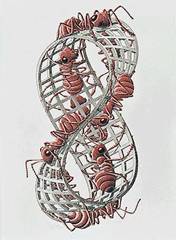 moebius_strip_ii_b