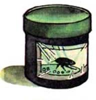 http://*****/images/masterilki/nasekomye/003.jpg