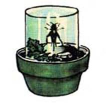 http://*****/images/masterilki/nasekomye/003.jpg
