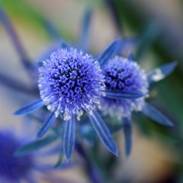http://*****/wp-content/uploads/2010/06/_0e2092fee1.jpg