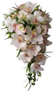 http://*****/sites/default/files/wedding/nevesta22.jpg