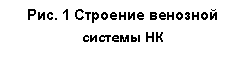 �������: