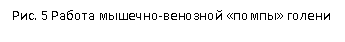 �������: