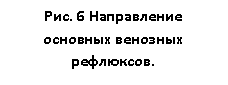 �������: