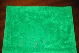 IMG_8620