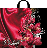 Orhid