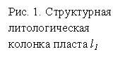 �������: