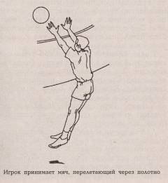 IMG_0008.jpg