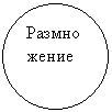 ����: �����������