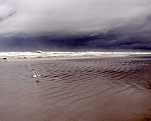 stormcloud2.jpg (2474 bytes)