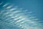 cirrocumulous.jpg (1969 bytes)