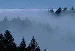 stratus2.jpg (3278 bytes)