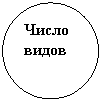 ����: �����

�����

