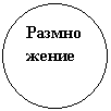 ����: �����������