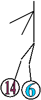14,6