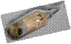 F:\������ ���� � �����\imges.jpeg