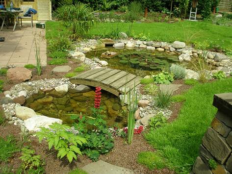 fen_shuy_07_07_2011_13_13_56.jpg
