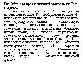 �������: