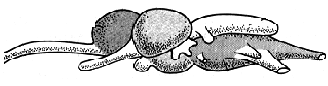 http://*****/2009/08/10_9.gif