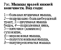 �������: