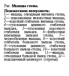 �������:
