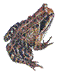 File00170