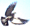 332107"