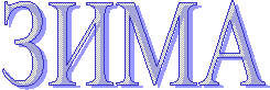 ЗИМА