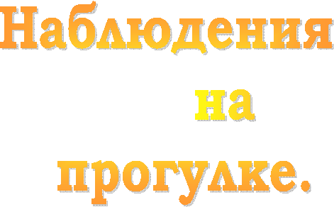 Наблюдения
на
прогулке.